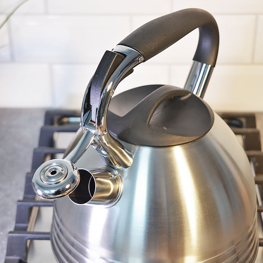 Чайник 2,7л нерж со свистком, матовый, ручка с силиконовым покрытием, индукция, "Daniks" PR-2201