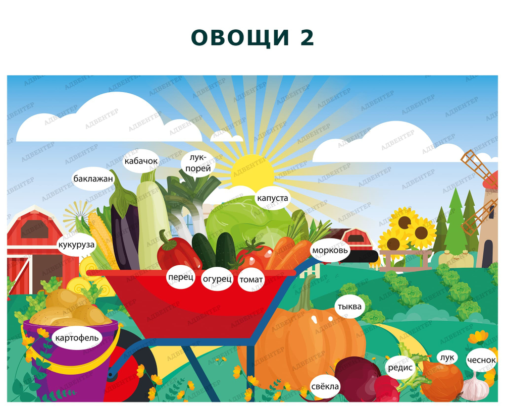 Комплект развивающий Ферма: Овощи-2, 2161