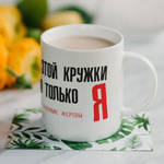 Кружка с приколом "Не зли лисичку"