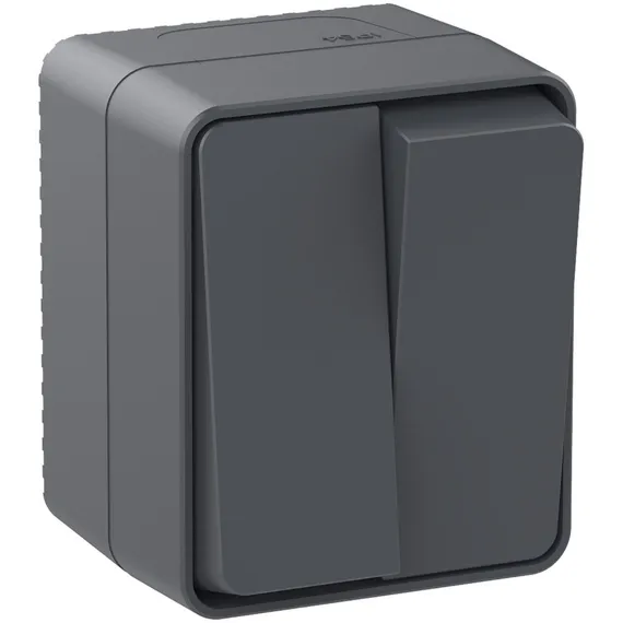 Выключатель 2-кл. ОП AtlasDesign PROFI IP54 10AX антрацит SE ATN544051