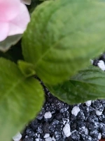 Дренаж для цветов и растений микс черный