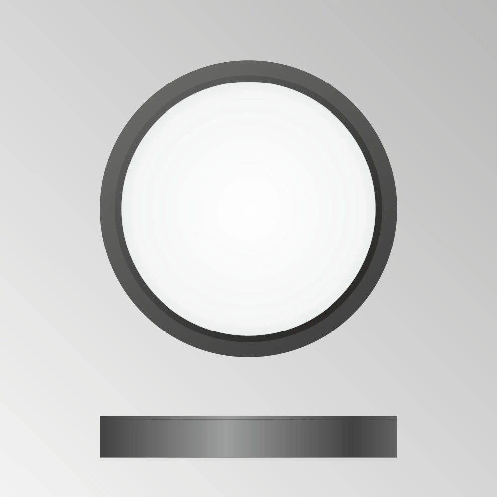 Citilux Бейсик CL738121N Светильник накладной Чёрный