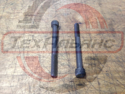 Винт M10*1.5*100 высокопрочный