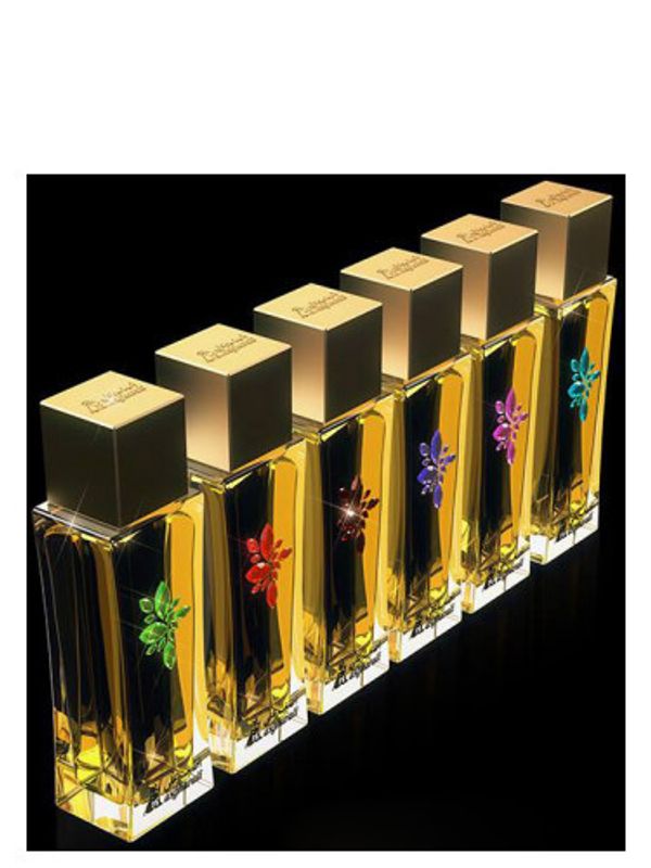 Asgharali Ambery Lavandula