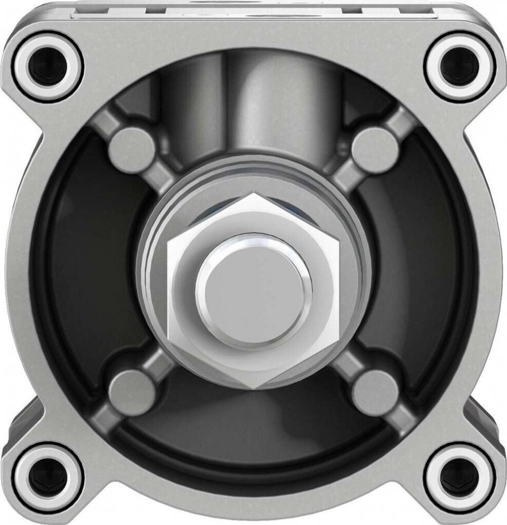 DSBC-125-25-PPVA-N3 Стандартный цилиндр