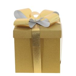 GAEM Коробка подарочная (бумага 350г/м2), L25 W25 H25 см