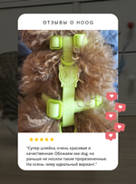 Развивающая игрушка для собак Dog Activity Slide & Feed, Trixie