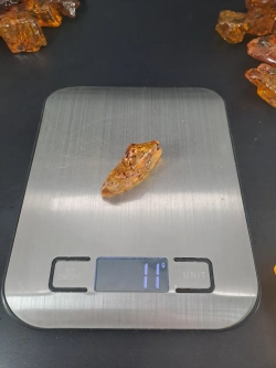 Молодой янтарь Копал коллекционный 11 гр