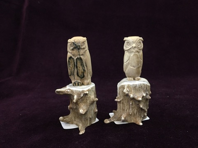 Сова на пне