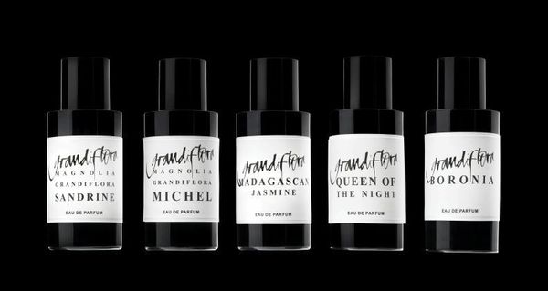 Grandiflora Magnolia Sandrine