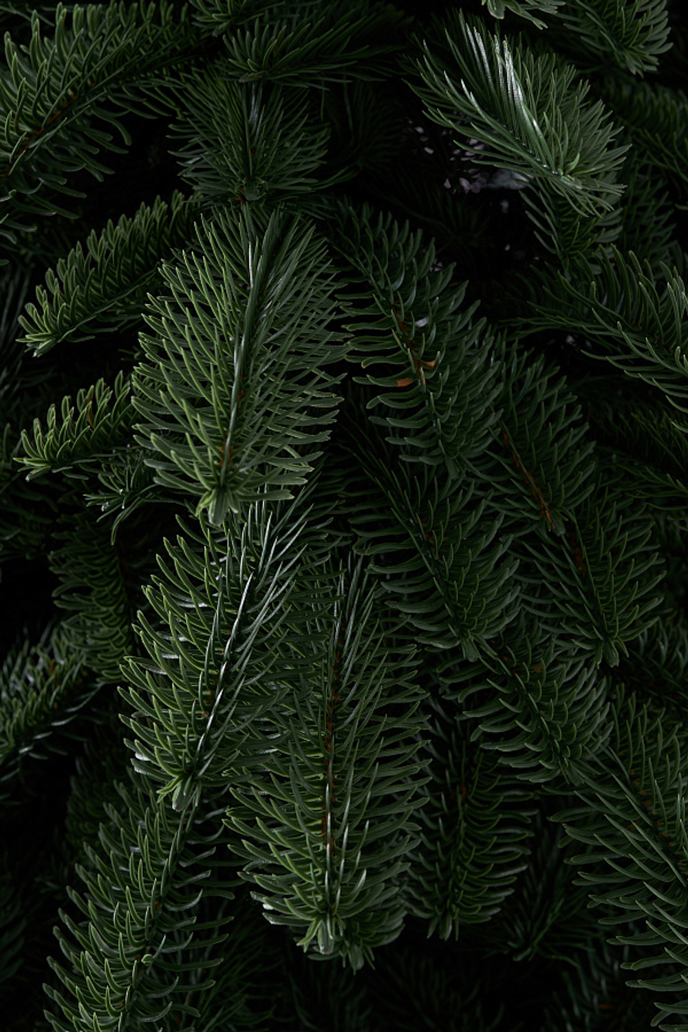 Ель искусственная литая Датская