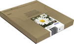 Картридж струйный Multi pack Epson C13T18064511