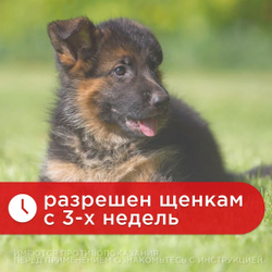 Суспензия для щенков мелких пород собак от гельминтов и лямблий Празицид Плюс APICENNA, 6мл. Фебантел/Пирантел/ Празиквантел