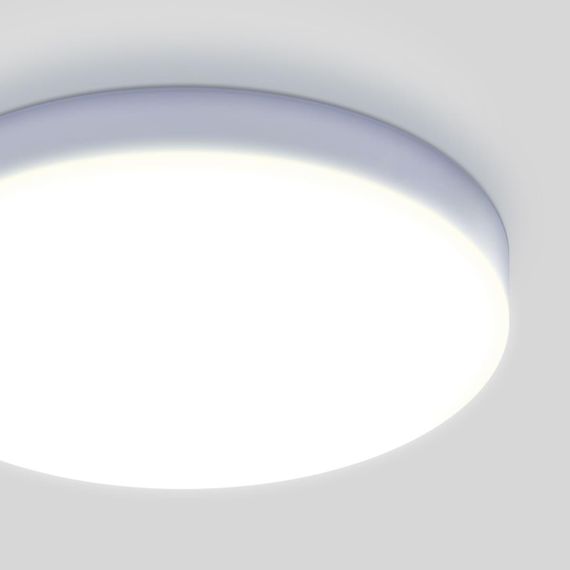 Потолочный светодиодный светильник Elektrostandard DLR043 10W 4200K a047940