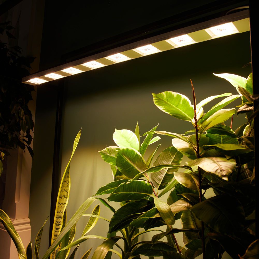 ULT-P71B-100W-SPFB-L105 WHITE WINTERGARDEN Светильник светодиодный накладной. Спектр для фотосинтеза. Корпус белый. Угол 60 градусов. ТМ Uniel