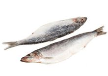 Сельдь Олюторская замороженная~1кг