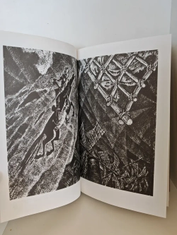 Дон Кихот: в 2-х томах (иллюстрации Саввы Бродского)