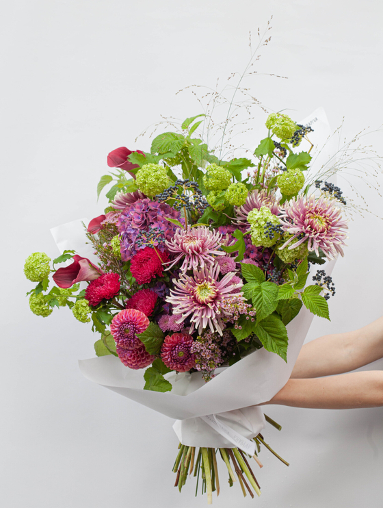 Слишком много чувств