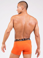 Яркие и удобные мужские боксеры (Размер: XXXL) (Цвет: оранжевый)