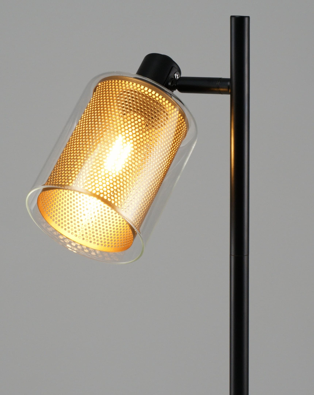 Настольная лампа Moderli V3060-1T Suspent