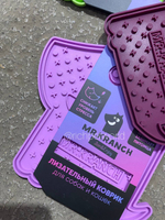 Лизательный коврик Mr.Kranch для медленного поедания силиконовый 20*20 см на присосках