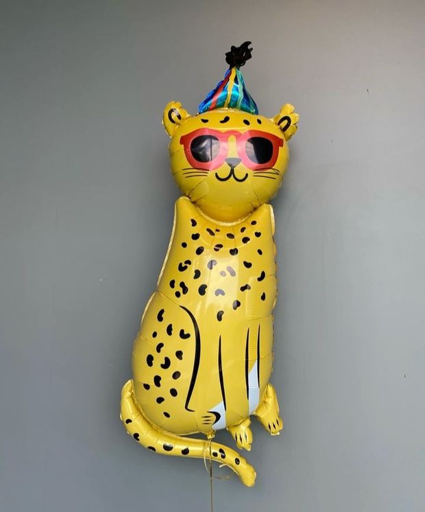 AN Шар фигура P35 Леопард в очках и колпаке (БГ-35)