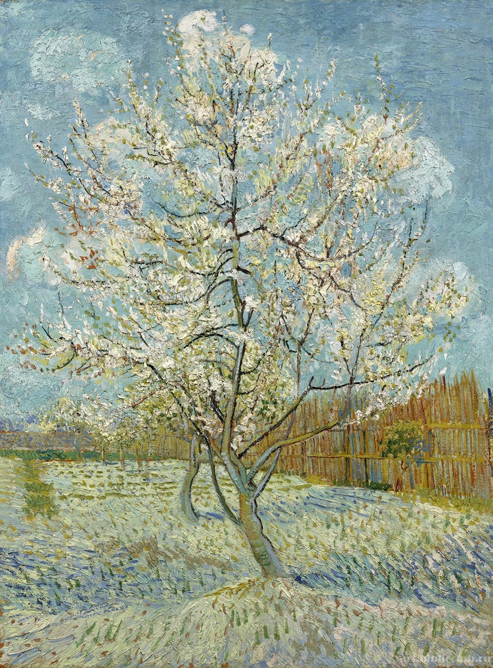 Картина для интерьера "Персиковые деревья в цвету", Ван Гог, Винсент Настене.рф
