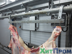 Линия убоя КРС до 40 голов/смена с холодильной камерой. г. Пермь