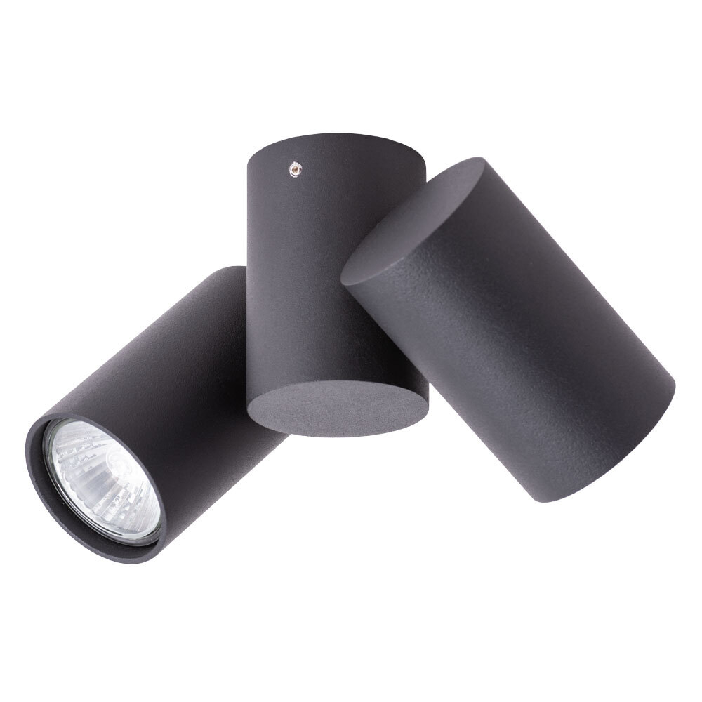 Светильник потолочный Arte Lamp Gavroche A1511PL-2BK