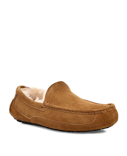 ASCOT MENS chestnut