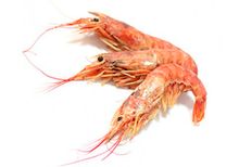 Лангустины Аргентинские с головой L2, 1кг Лангустины Аргентинские с головой L2, 1кг