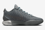 Купить в Москве Nike LeBron 21 Cool Grey