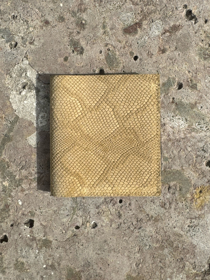 ARCHIVE Wallet Zmeyka