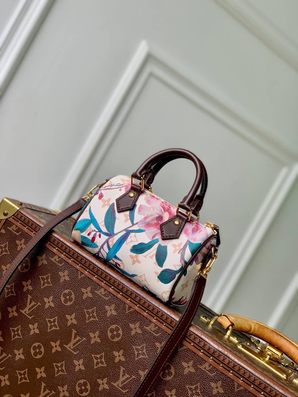 Louis Vuitton Nano Speedy