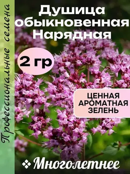 Семена Душица обыкновенная Нарядная - 2 гр