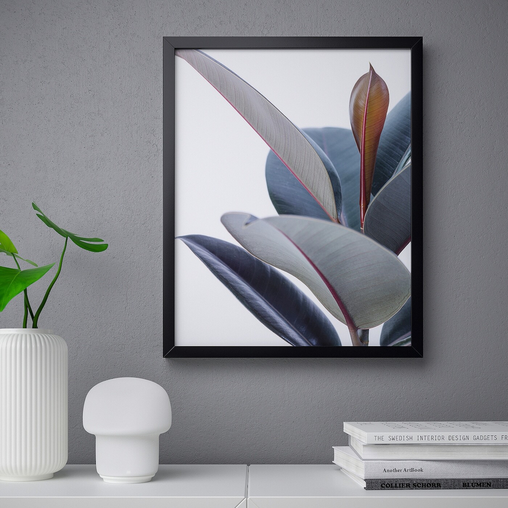 IKEA BILD  (ИКЕА БИЛД)  -  Постер, Горшечное растение -Зей, 40x50 см