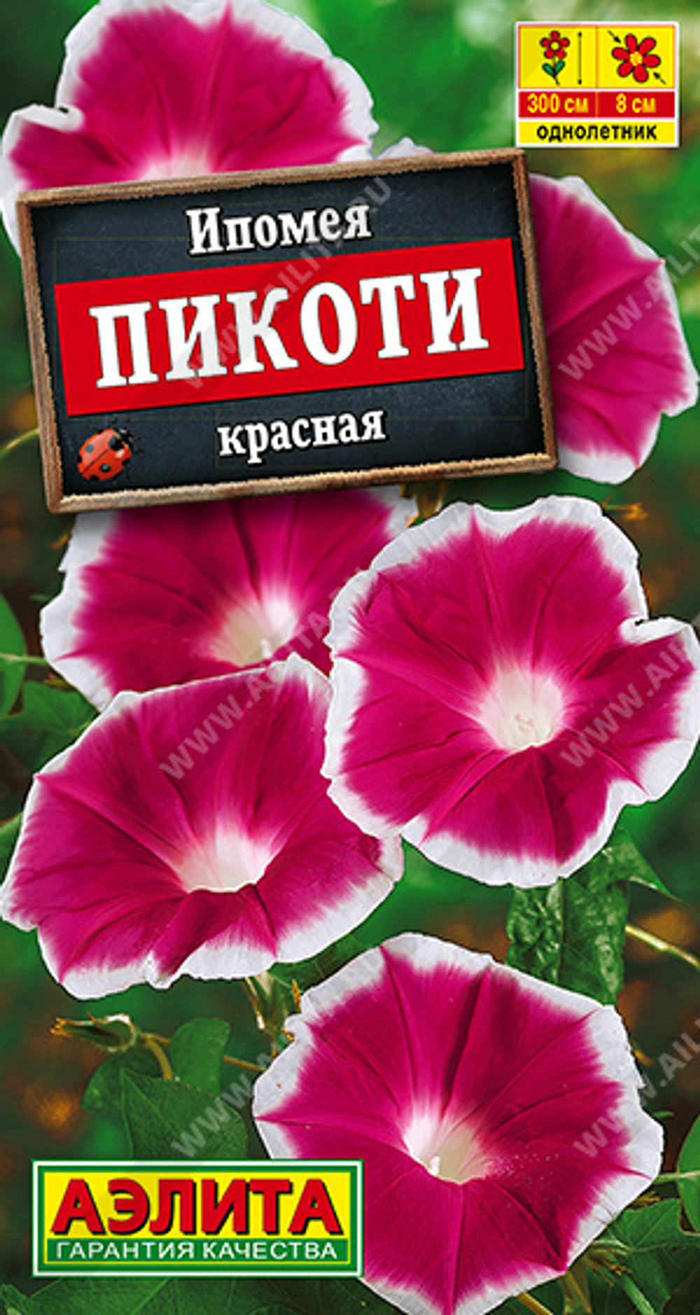Ипомея Пикоти красная 4шт Аэлита
