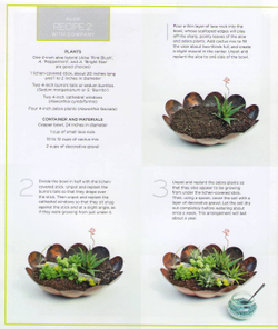 The Plant Recipe Book: 100 Living Arrangements for Any Home in Any Season