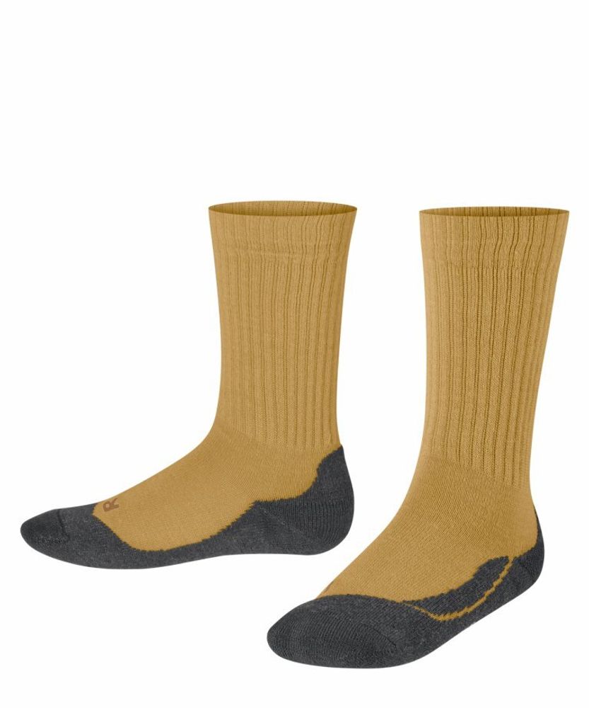 Носки Active Warm FALKE 10450/1120