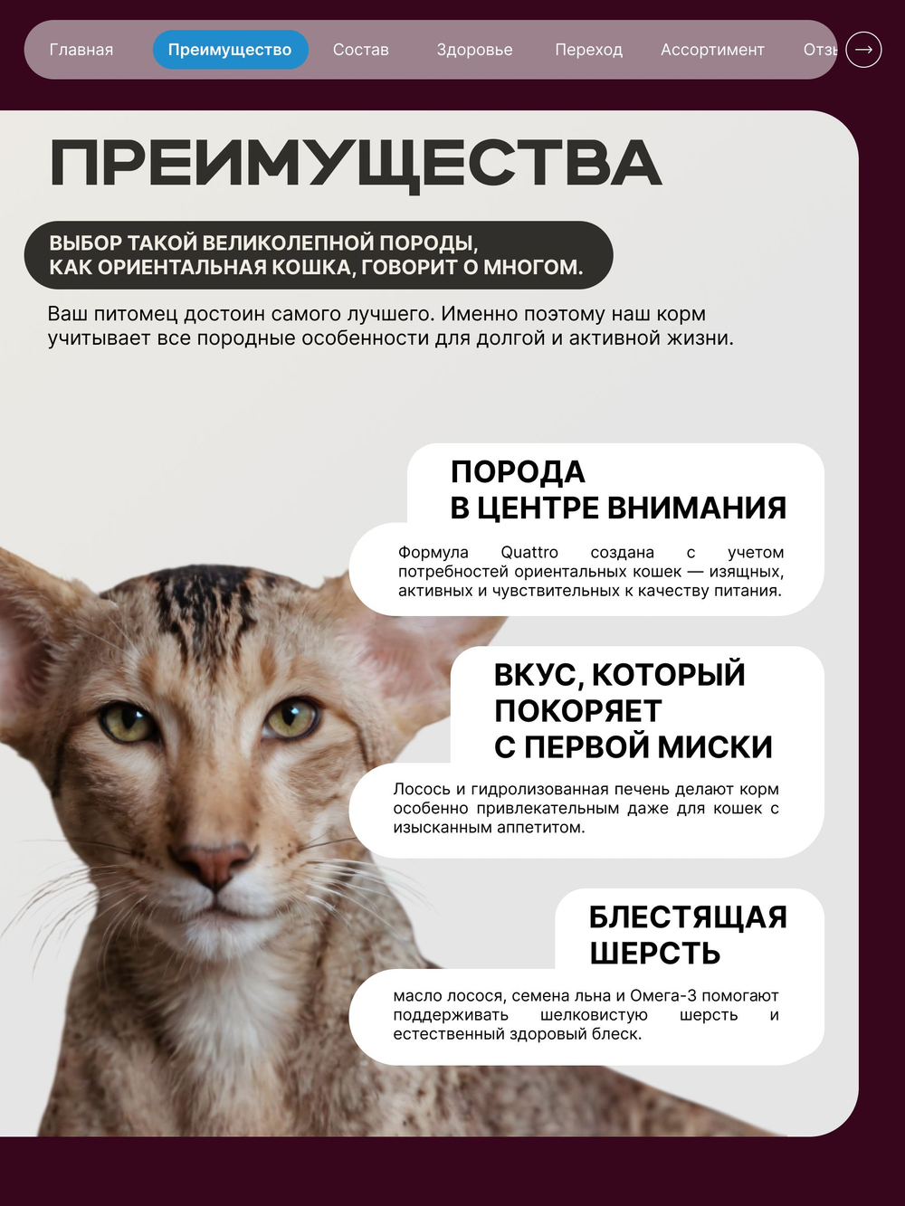 Корм сухой для взрослых кошек породы Ориентальная кошка, с лососем, 400 гр, QUATTRO