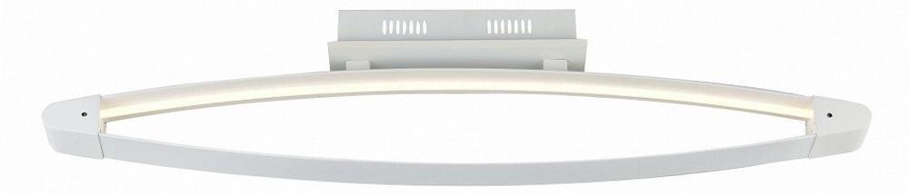 Накладной светильник ST-Luce SL920 SL920.102.01