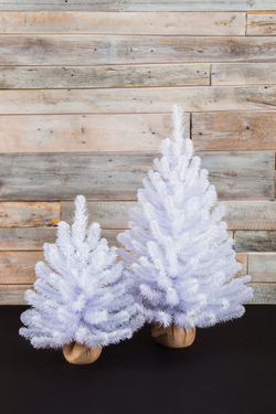 Ель Исландская 90см в мешочке белоснежная Triumph Tree