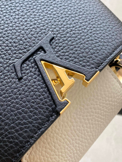 Louis Vuitton Capucines Mini