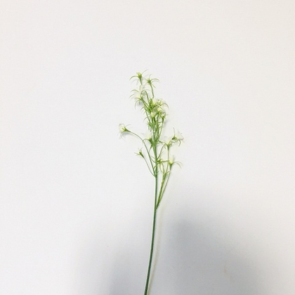 Колокольчик [Арт. 118811]