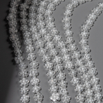 Стеклянные бусины в форме прозрачных цветочков, 7-8мм,