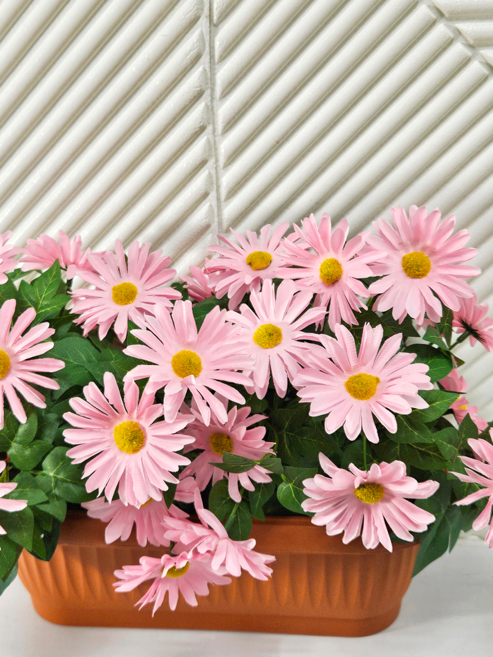 Хризантема розовая в балконном ящике