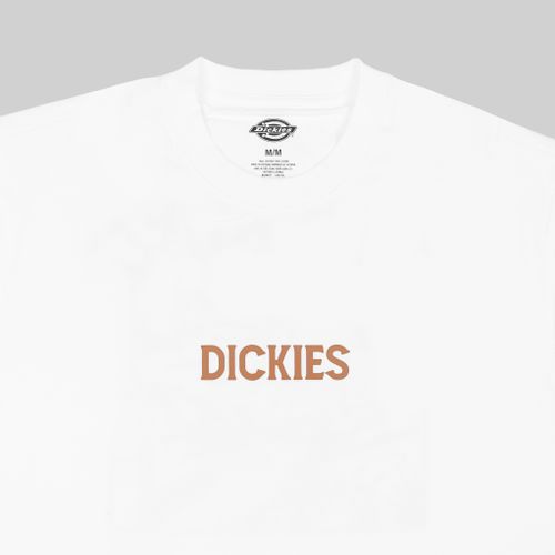 Футболка мужская Dickies Patrick Springs Tee артикул:DK0A4YR7WHX1 - купить в магазине Дайс