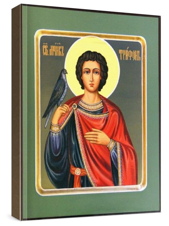 Трифон Апамейский (рукописная икона)