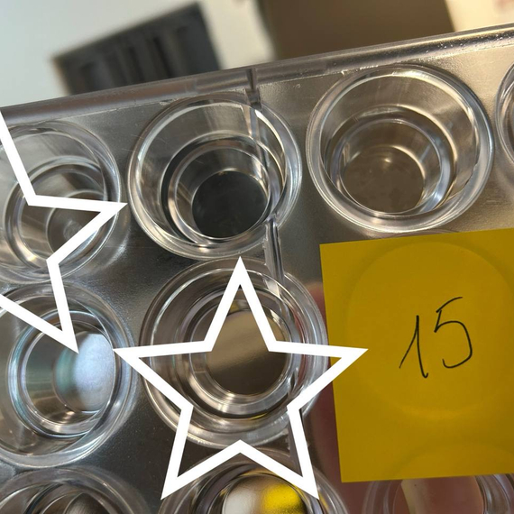 604-у | Форма "Двухуровневая" (275*135 мм)