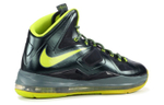 Кроссовки Nike Lebron 10 Dunkman